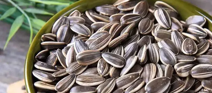 Kata Siapa Kuaci Tidak Ada Manfaatnya Bagi Kesehatan?